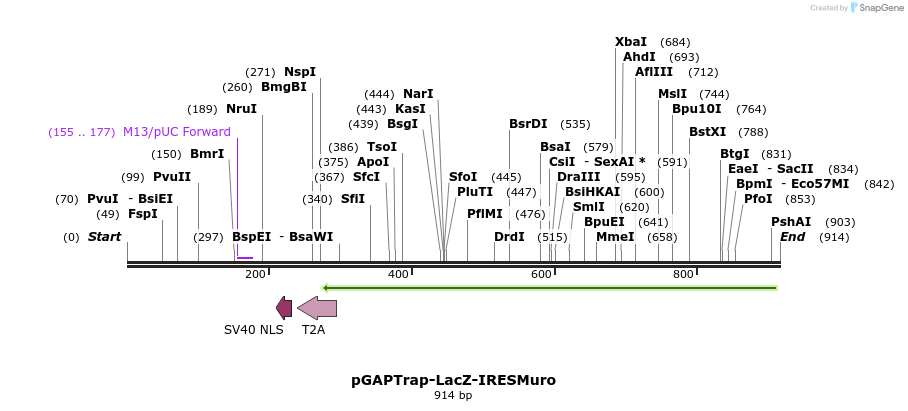 161127_map
