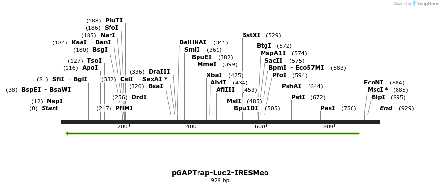 161129_map