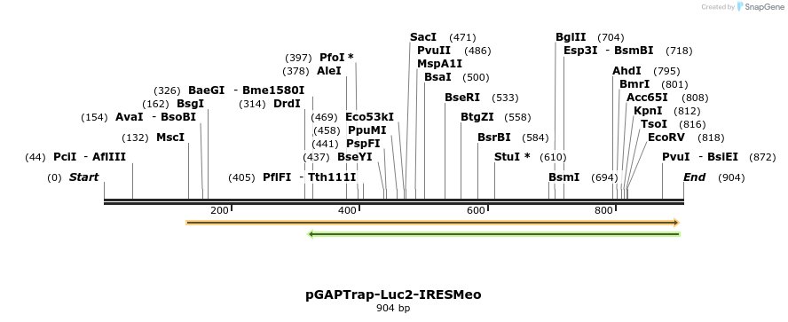 161132_map