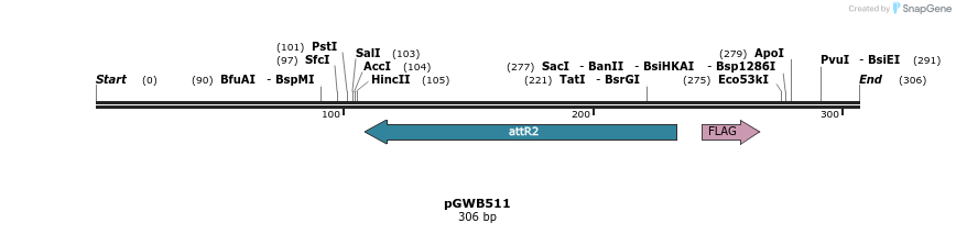 161133_map