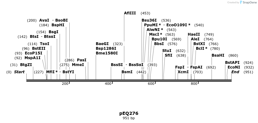 161134_map