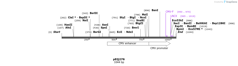 161135_map