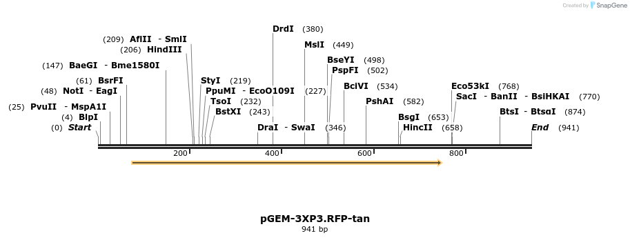 161136_map