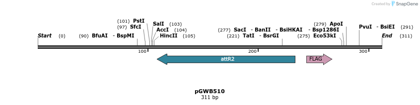 161138_map