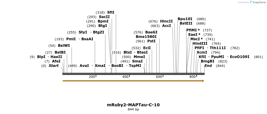 161140_map