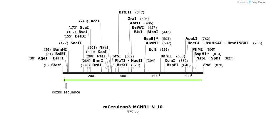 161142_map