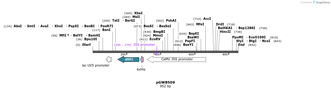 161143_map