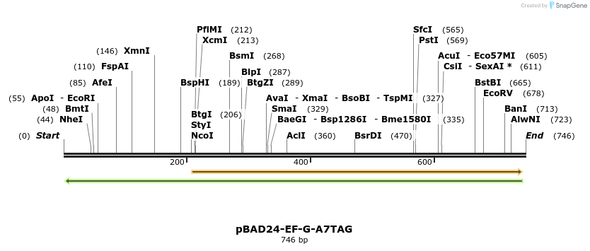 161146_map
