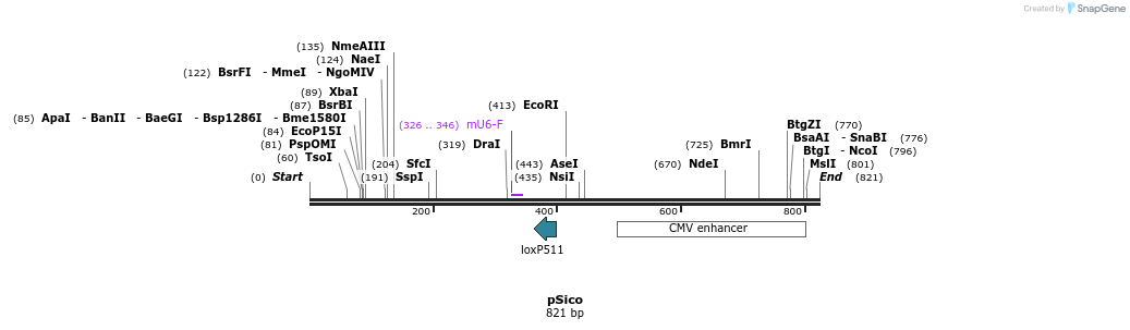161154_map