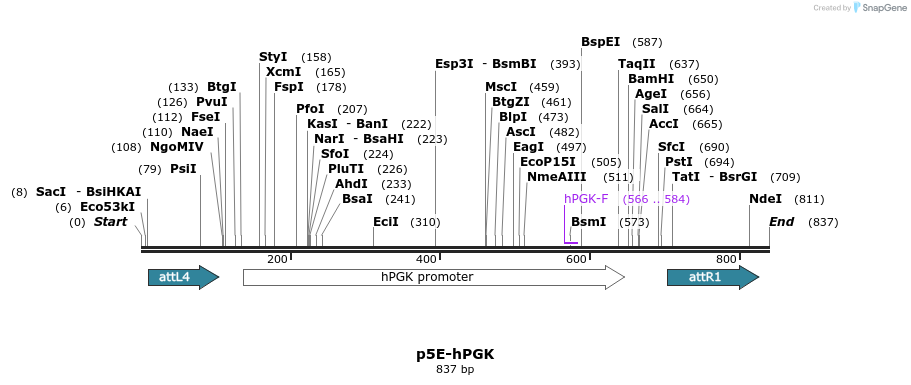 161157_map