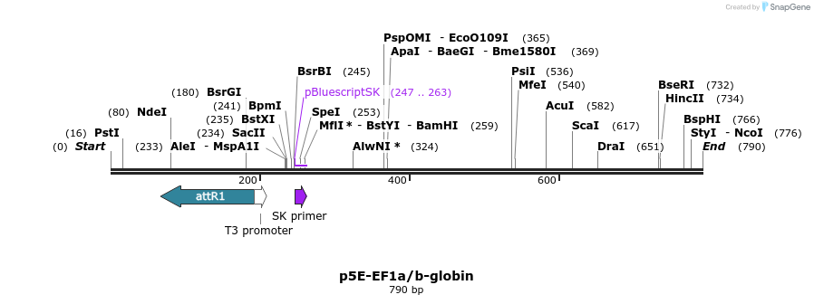 161161_map
