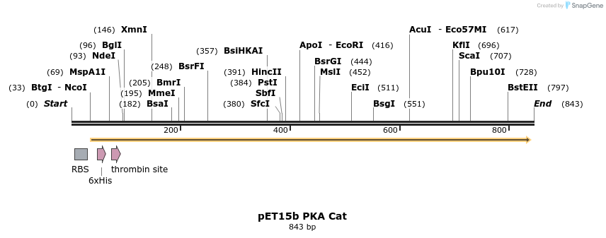 161163_map