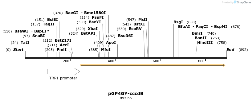 161164_map