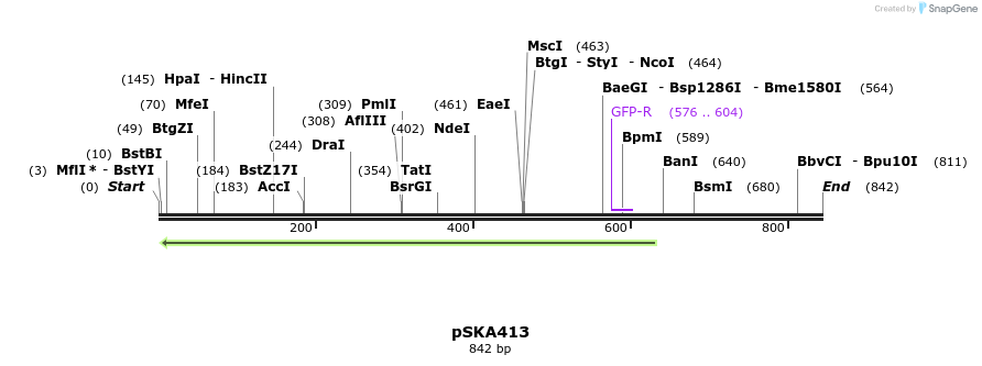 161167_map