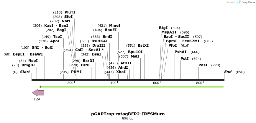 161182_map