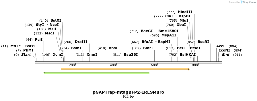 161183_map