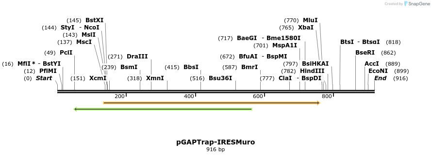 161184_map