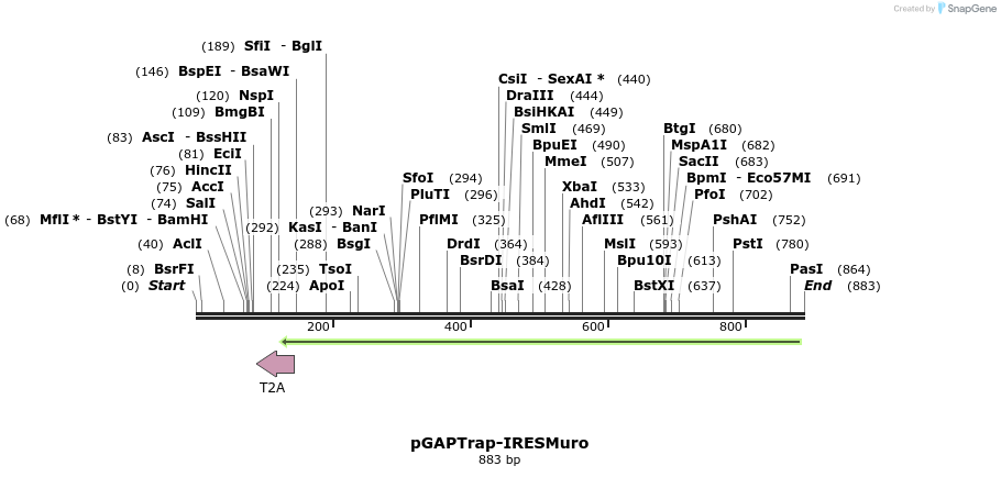 161185_map