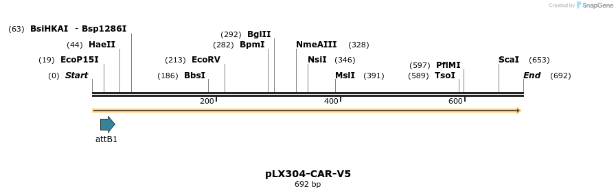 161186_map