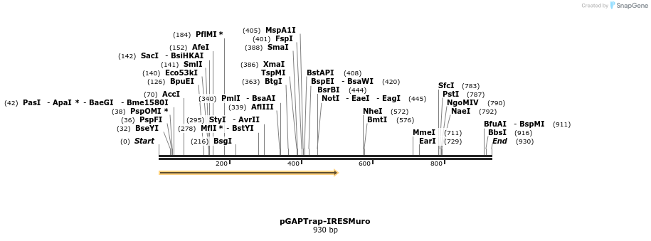 161187_map