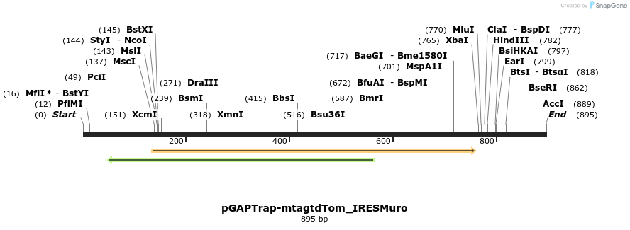 161189_map