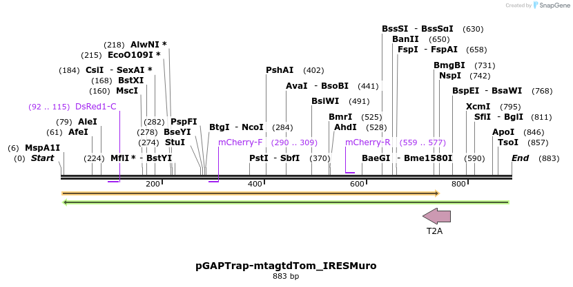 161190_map