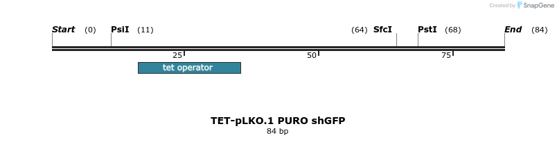 161194_map