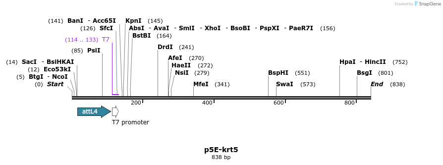 161196_map