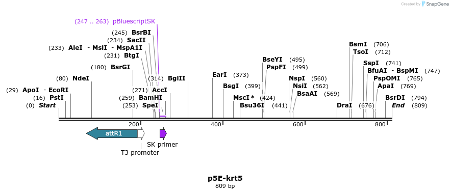 161197_map