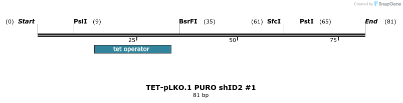 161198_map