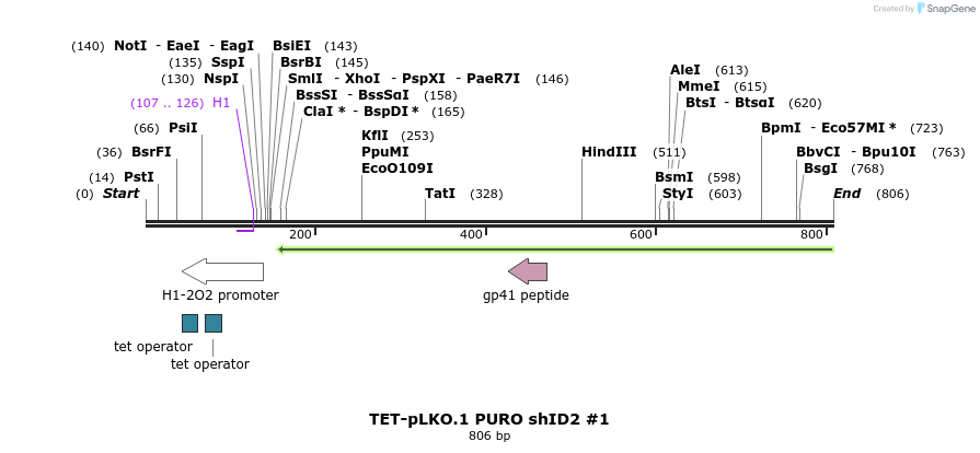 161199_map