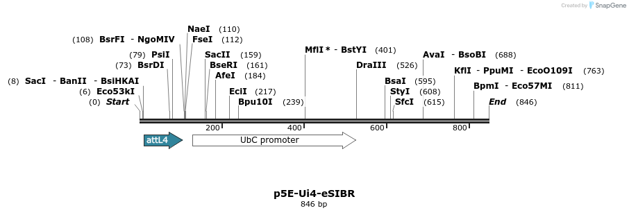 161200_map