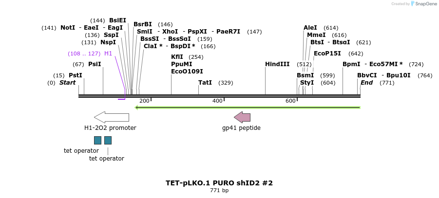 161204_map