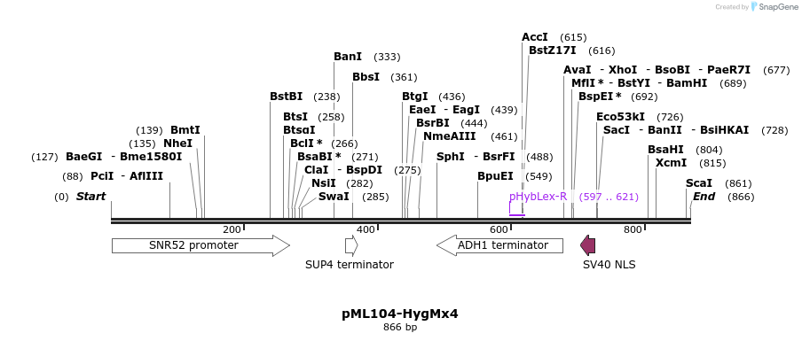 161209_map