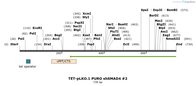 161214_map