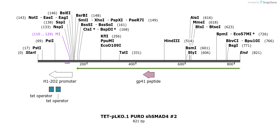 161215_map