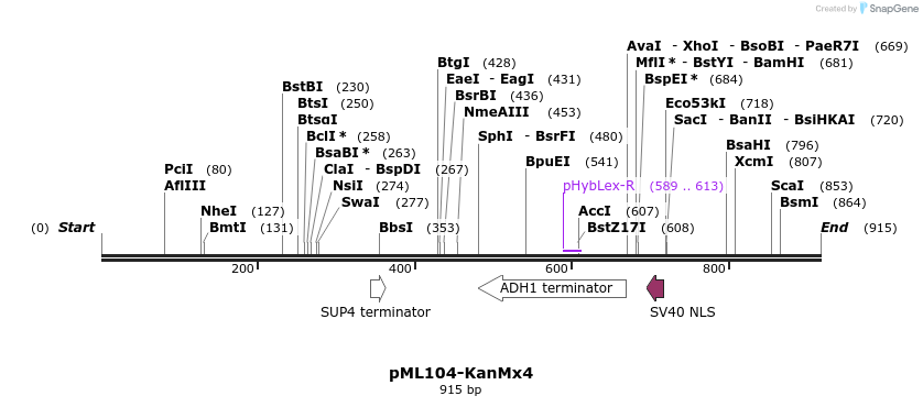 161216_map