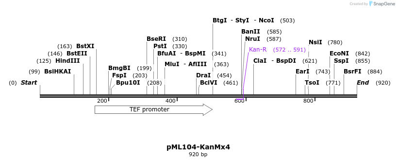 161217_map