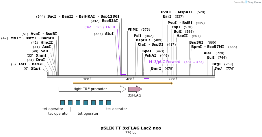 161222_map