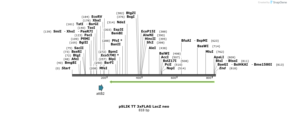 161223_map