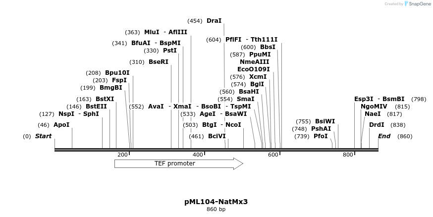 161224_map
