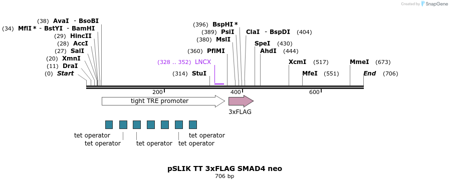 161227_map