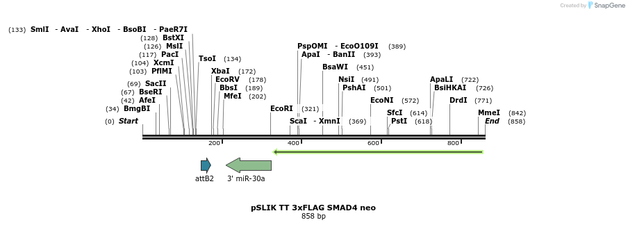 161228_map