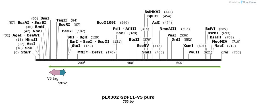 161246_map