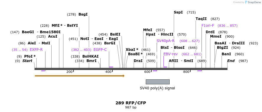 161256_map