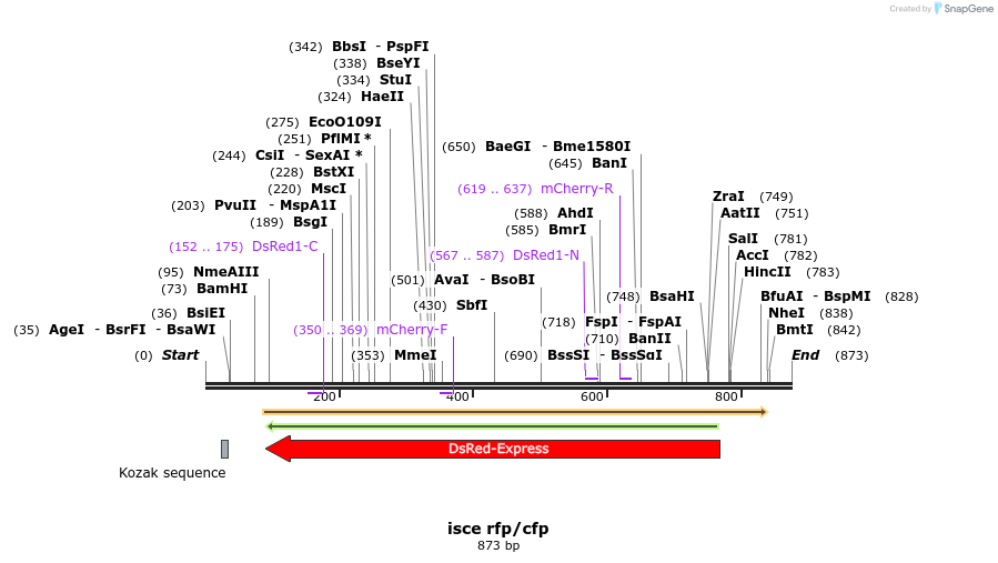 161269_map