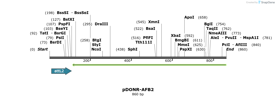 161272_map