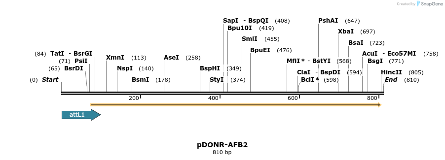 161275_map