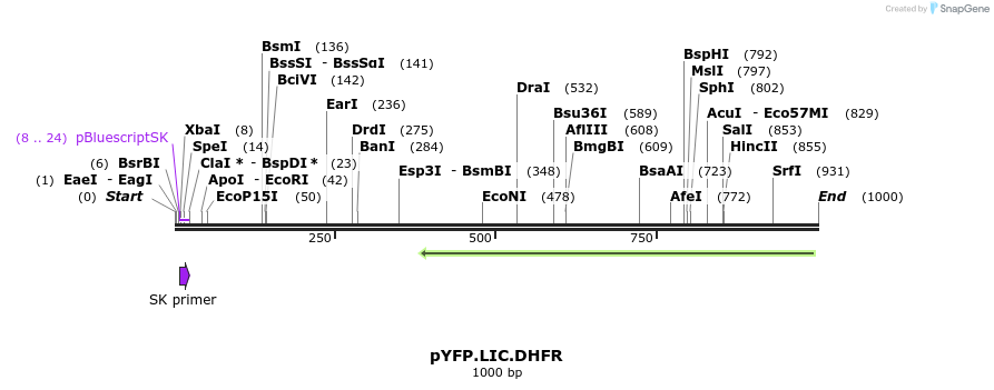 161278_map