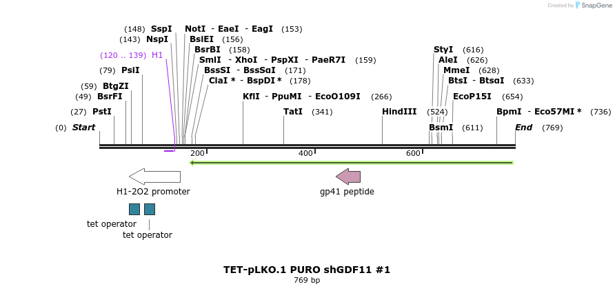 161279_map